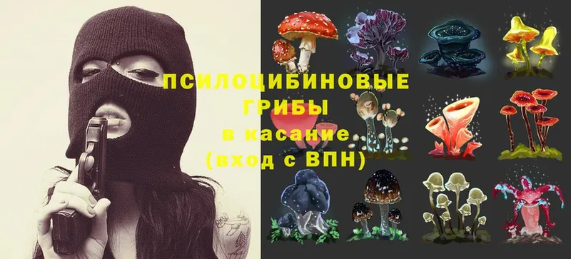 Псилоцибиновые грибы Magic Shrooms  продажа наркотиков  гидра онион  Таганрог 